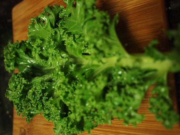 2012-09-07-kale630pixels.jpg