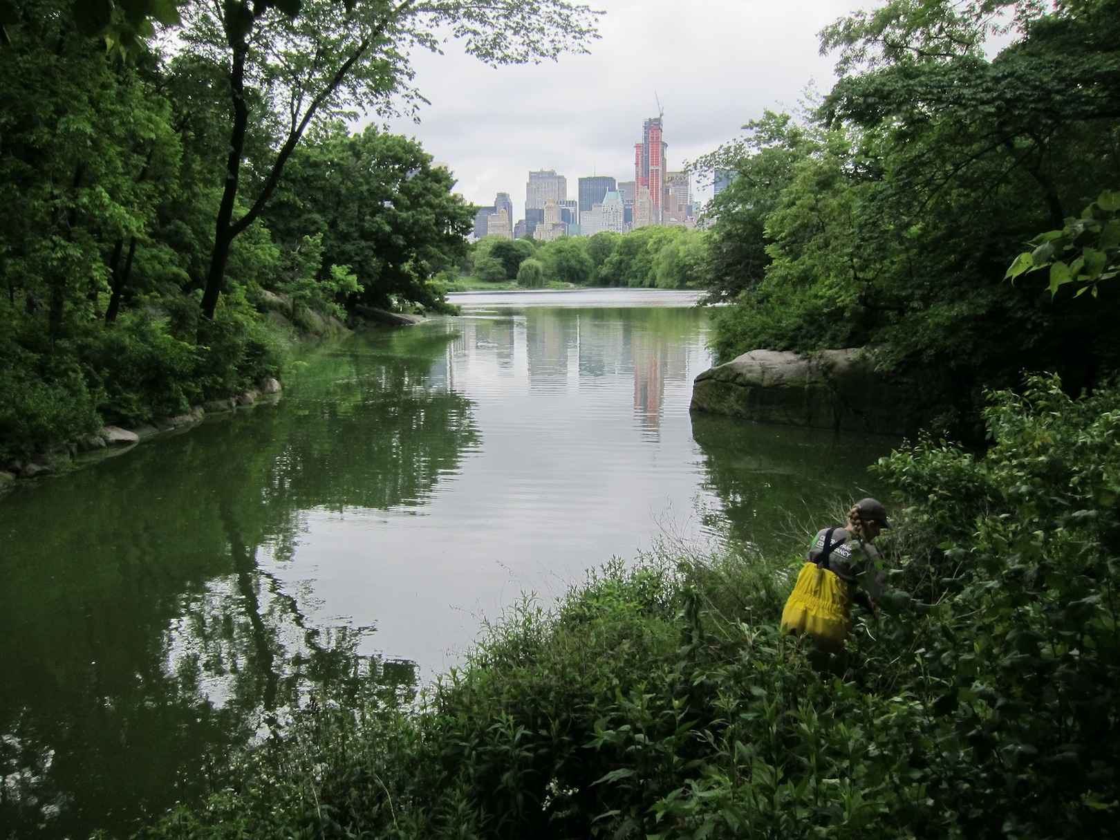 2012-09-10-NYNYCCentralParkWoodlands052012138copy.jpg