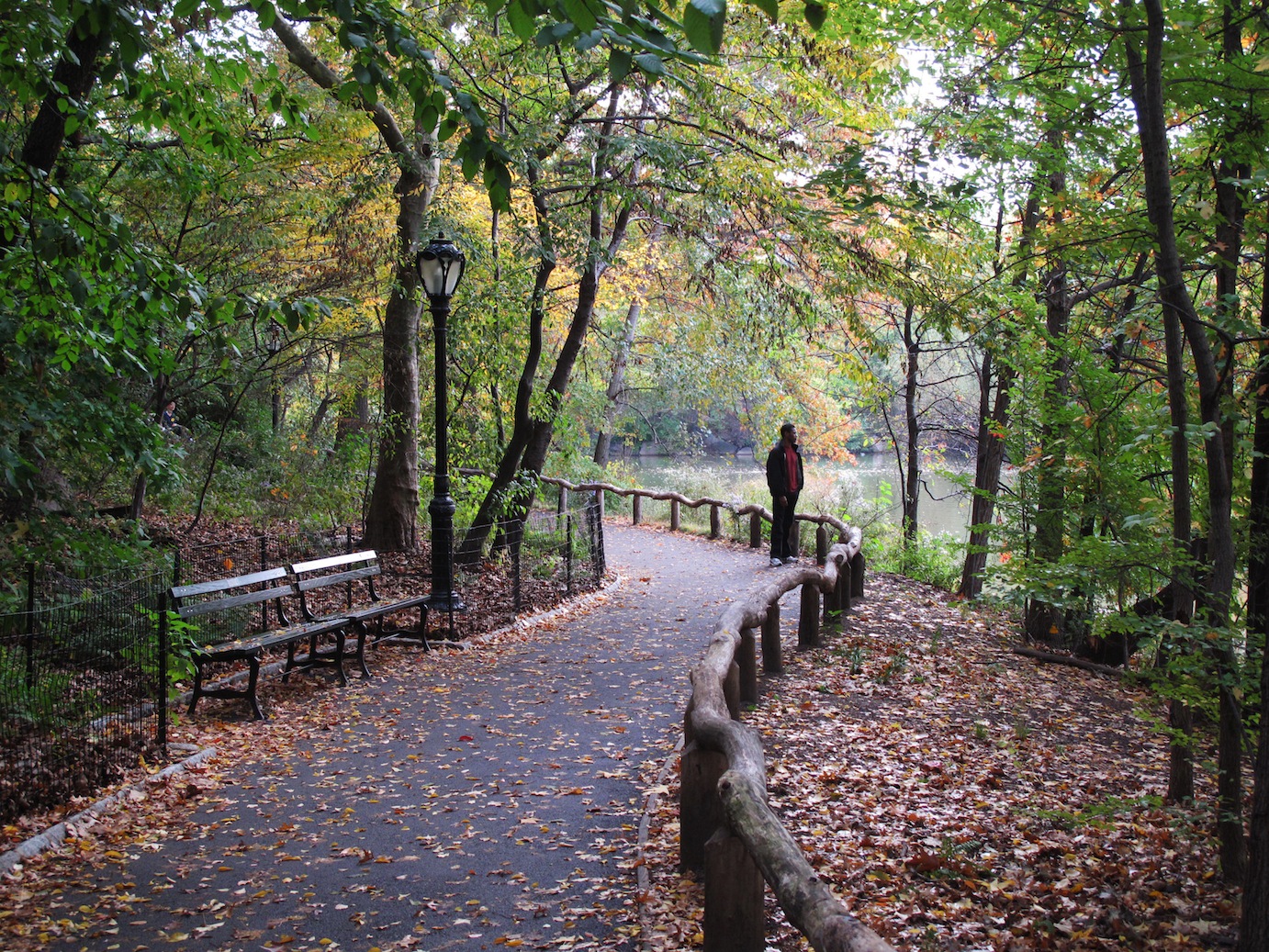 The Big Task of Managing Nature at New York's Central Park | HuffPost