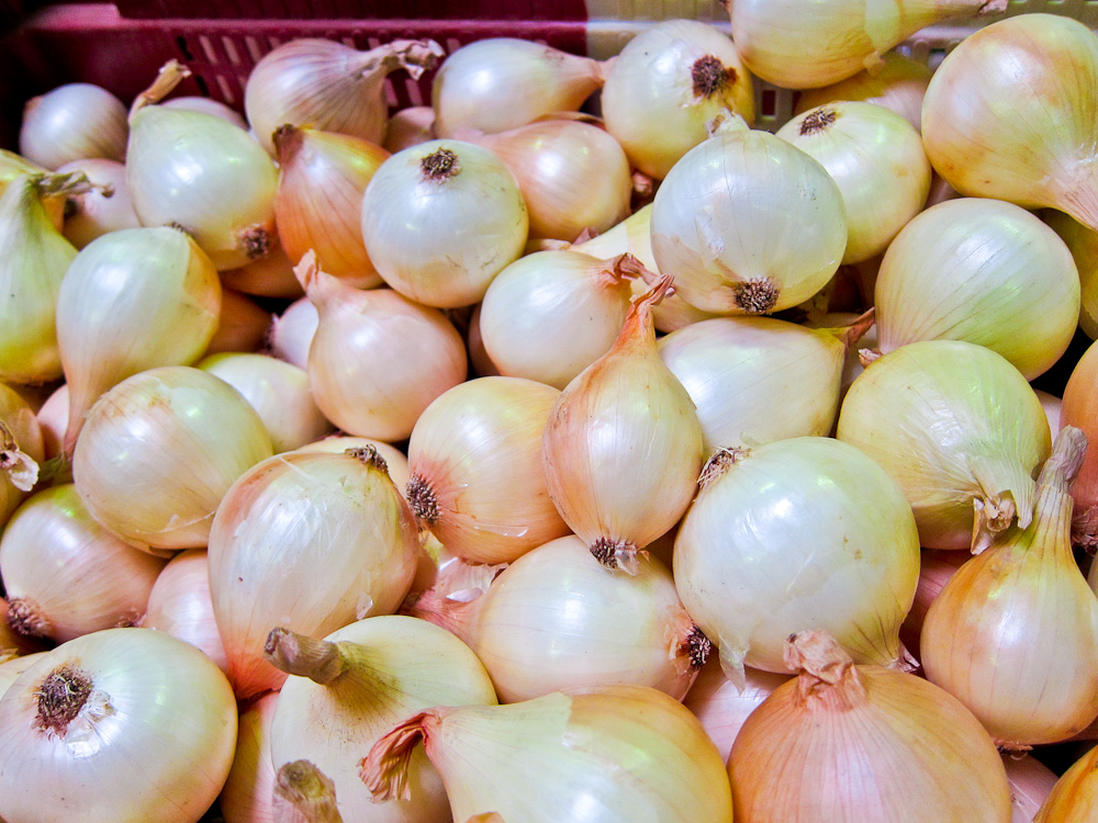2012-09-24-Onions.jpg