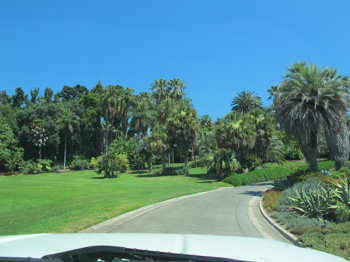 2012-09-26-palms350.jpg