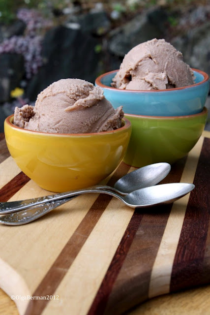 2012-10-03-nutellaicecreamrecipe4.jpg