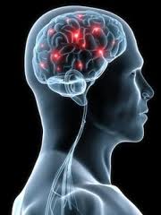 2012-10-04-brain.jpg