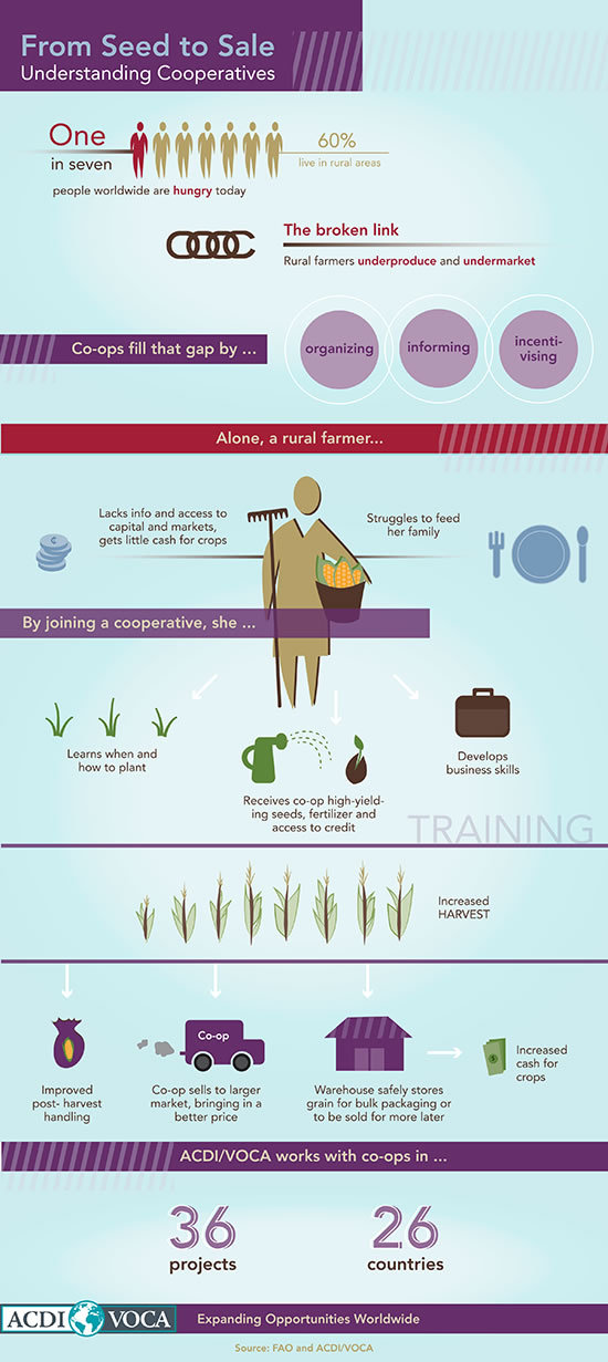 Infographic The Power Of Cooperatives Explained HuffPost Impact