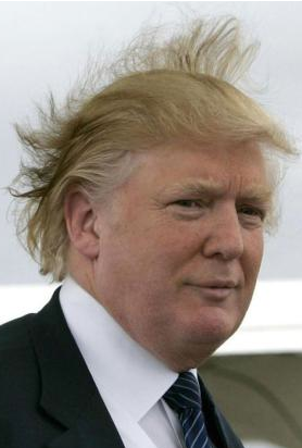 2012-10-24-Trumphair.png