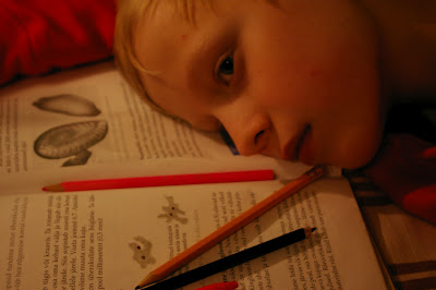 2012-10-24-headonbook.jpg