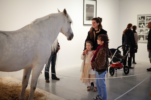 2012-10-25-TR_Beuys_horsecopy.jpg