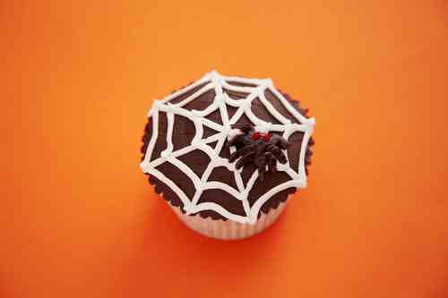 2012-10-25-halloweenspidertopcopy.jpg