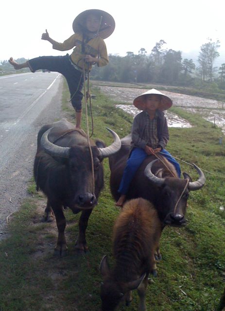 2012-11-04-buffaloboys.jpg