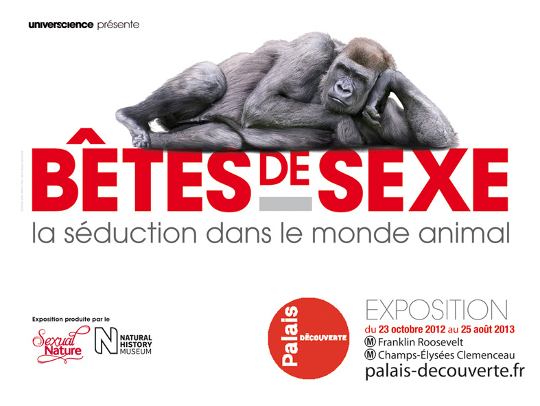 2012-11-07-AFFICHE.metro.betesdesexe.jpg