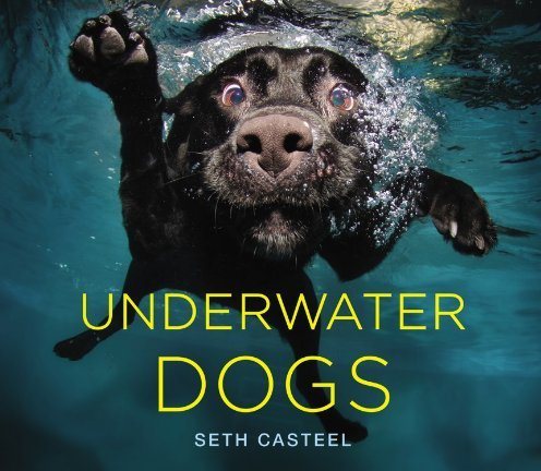 2012-11-07-underwaterdogs.jpg