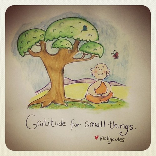 Image result for buddha gratitude