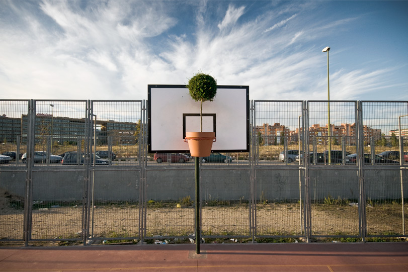 2012-11-12-SpYBASKET.jpg.jpg