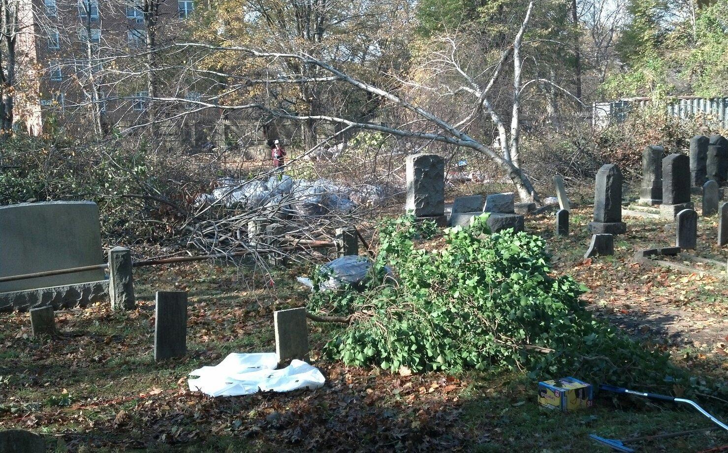 2012-11-13-postSandycleanup.jpg