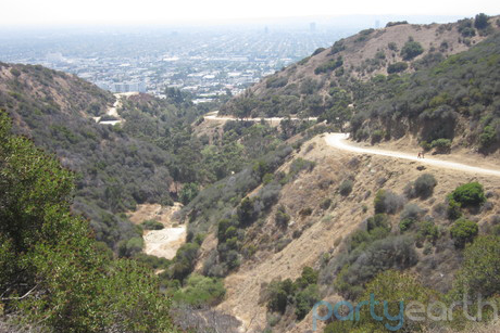 2012-11-19-Runyon_iLohoCopy.png