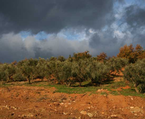 2012-11-20-CloudsOverBigMountainhuffpostblog.jpg