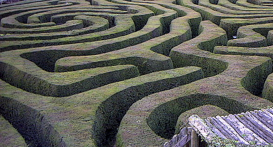 2012-11-23-800pxLongleat_maze.jpg