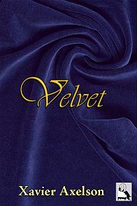 2012-11-24-velvetcover.jpg