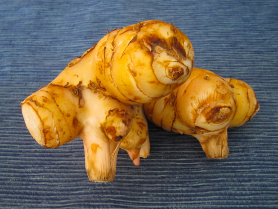 2012-11-27-Galangal1.jpg