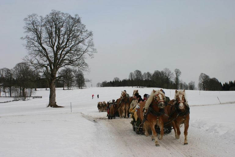 2012-12-04-Salzburgsleighride.jpg