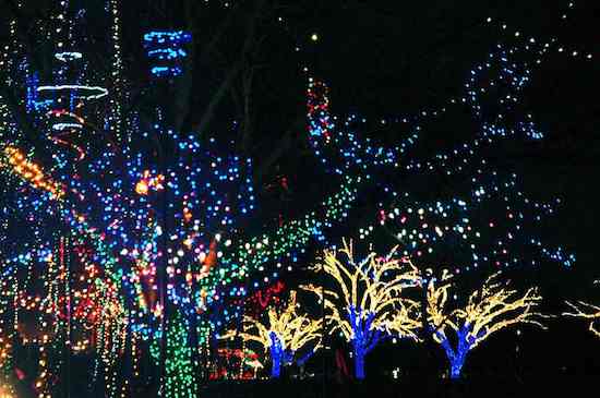 2012-12-18-AustinTrailofLights.jpg