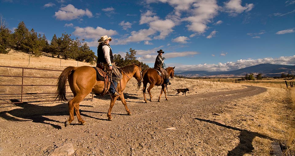 2012-12-18-Stranko_Ranchers.jpg