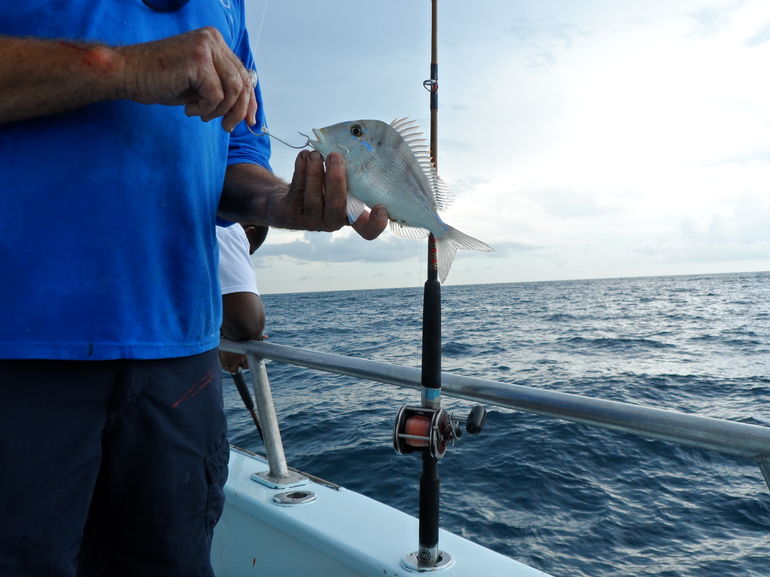 2013-01-03-Miamifishingcruise.jpg