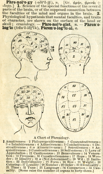 2013-01-06-phrenology.png