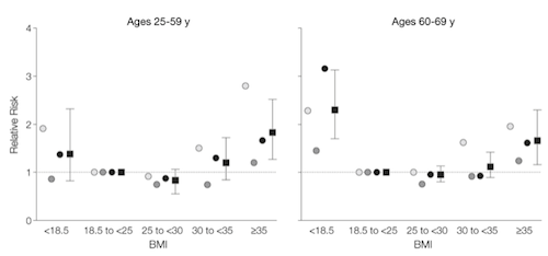 2013-01-08-BMI1.png