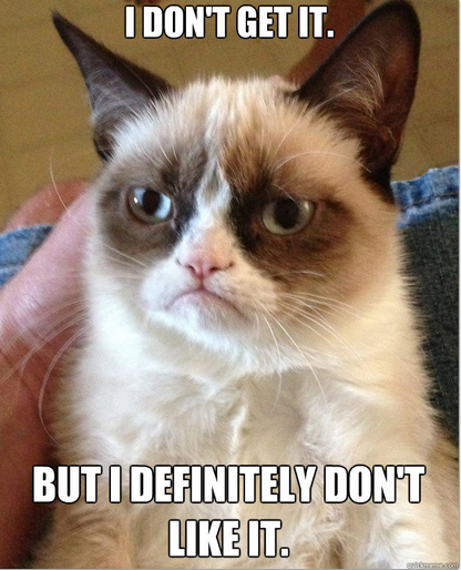 2013-01-10-grumpcatnolike.png