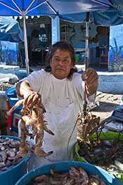 2013-01-11-mazatlan_1792C.jpg