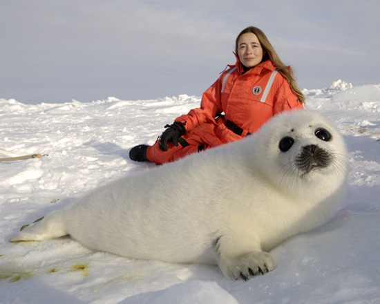 2013-01-11-sealphoto.jpg