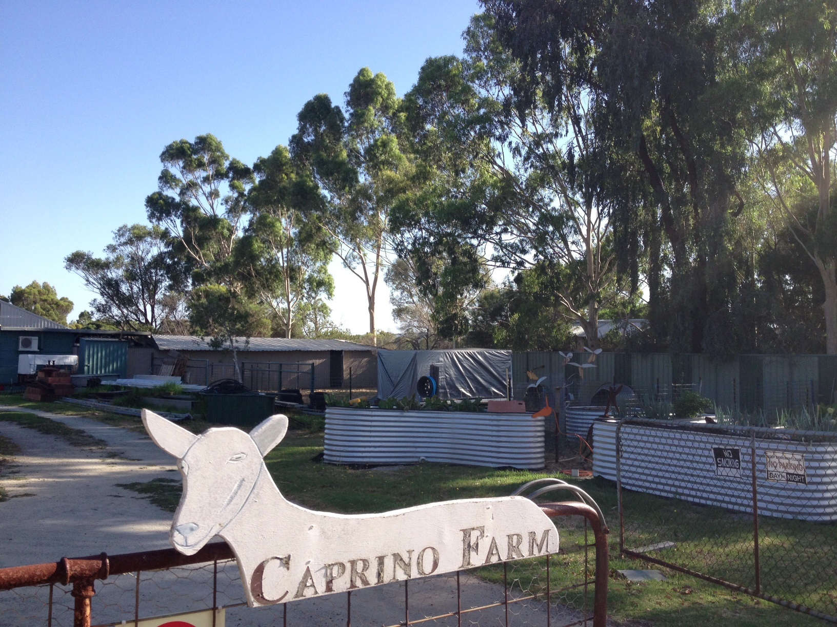 2013-01-14-caprinoentrada.jpg