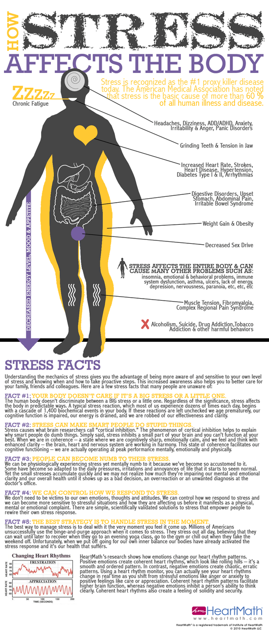 2013-01-29-stressinfographic.png