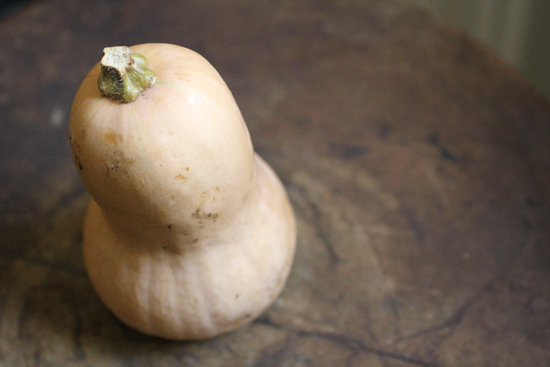 2013-01-31-butternutsquashphoto_huffpo.jpg