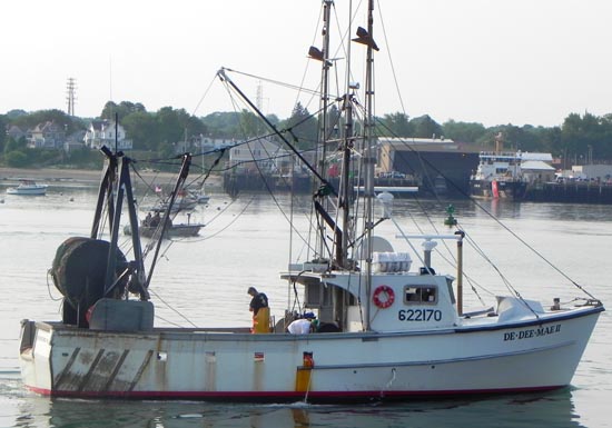 2013-02-05-portlandboat.jpg