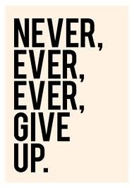 2013-02-06-NeverGiveUp.jpg