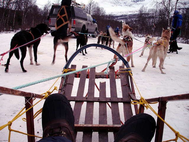 2013-02-08-Norwaydogsledding.jpg