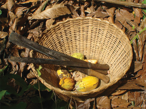 2013-02-08-ebans.jpg
