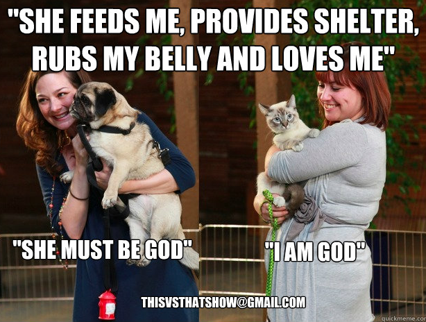 2013-02-19-DogsvsCats_God.png