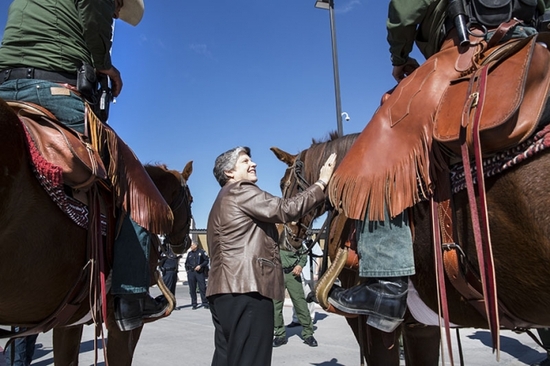 2013-02-21-horses.jpg