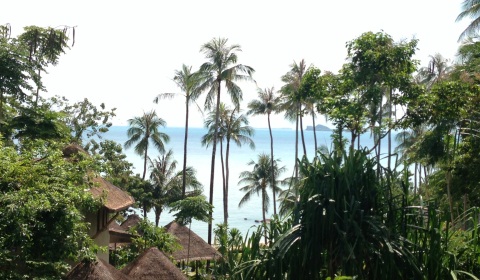 2013-02-27-roomwithaview.jpg