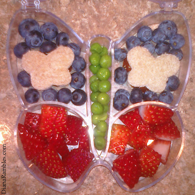 2013-03-03-butterflybento.jpg