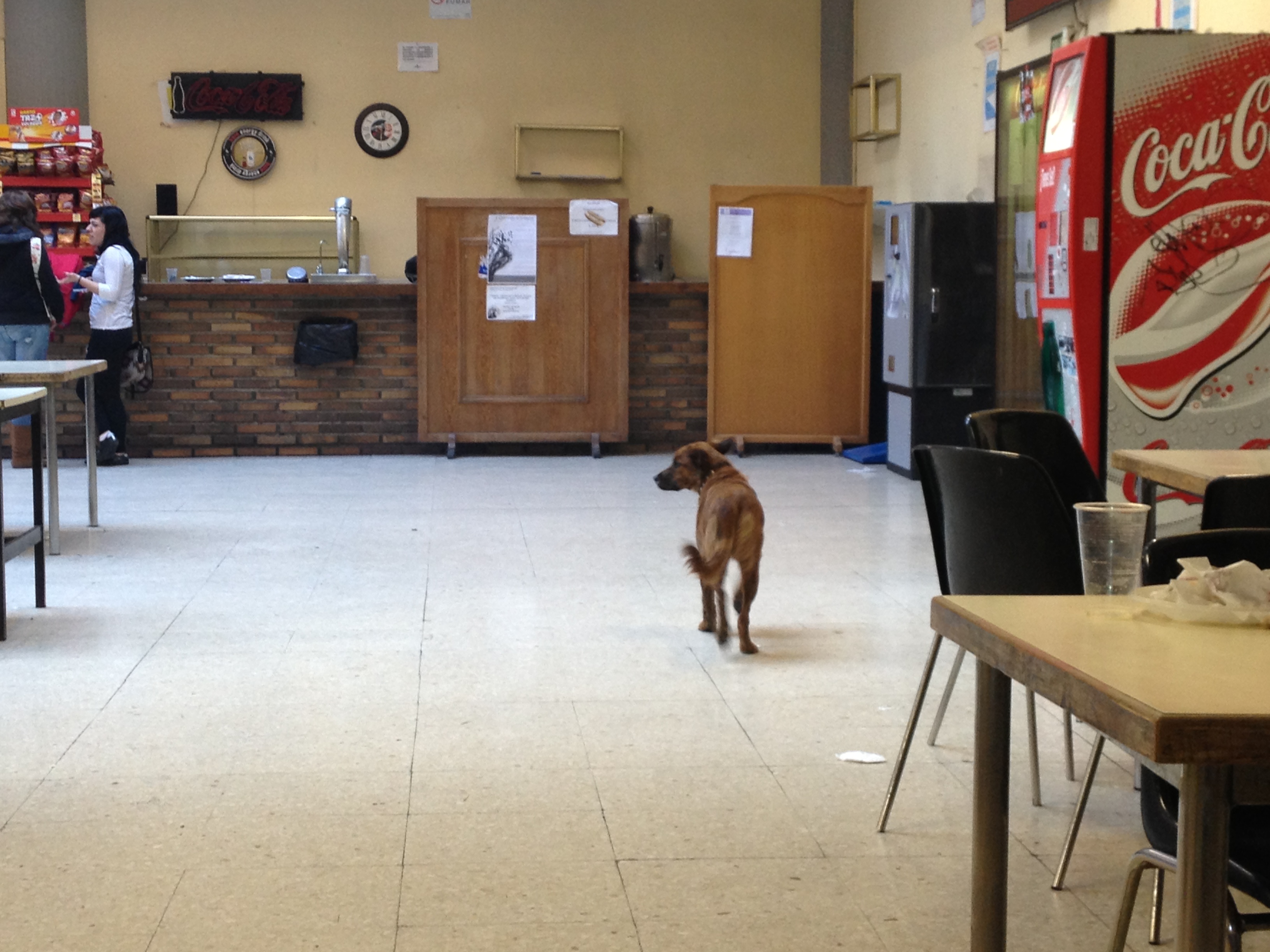 2013-03-06-Dogcafeteria.jpg