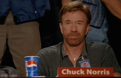 2013-03-10-chucknorrisapproves.gif