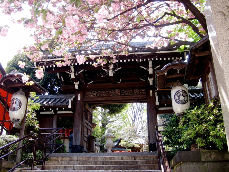 Meiji Shrine Tokyo