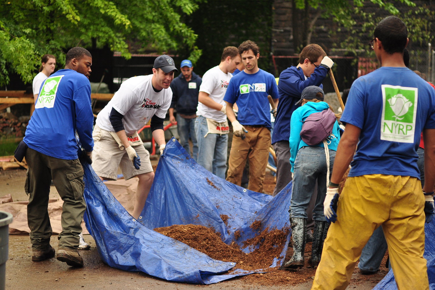 2013-03-18-VolunteerDaySchepping.jpg