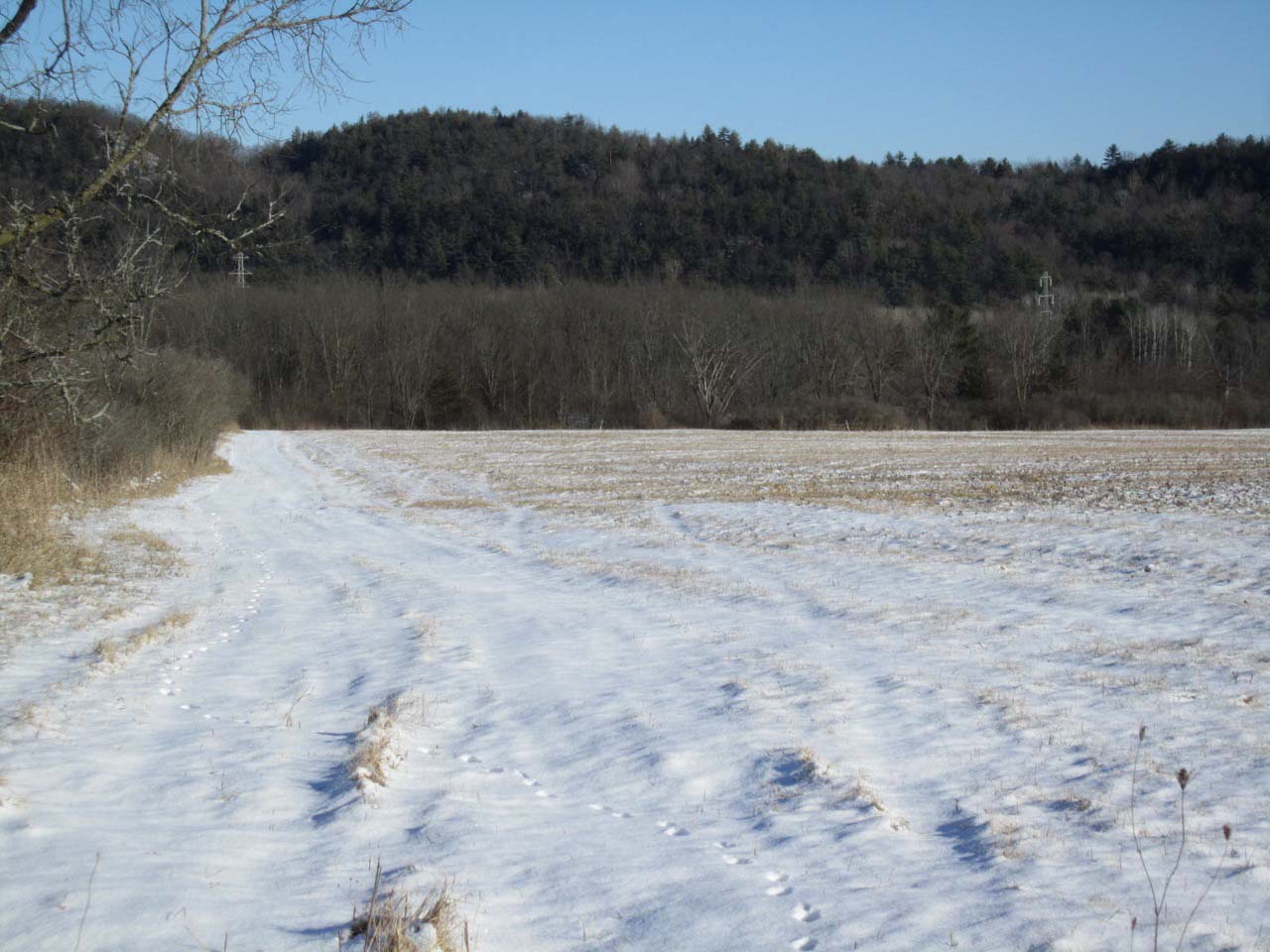 2013-03-26-5Adirondackwildlife.jpg