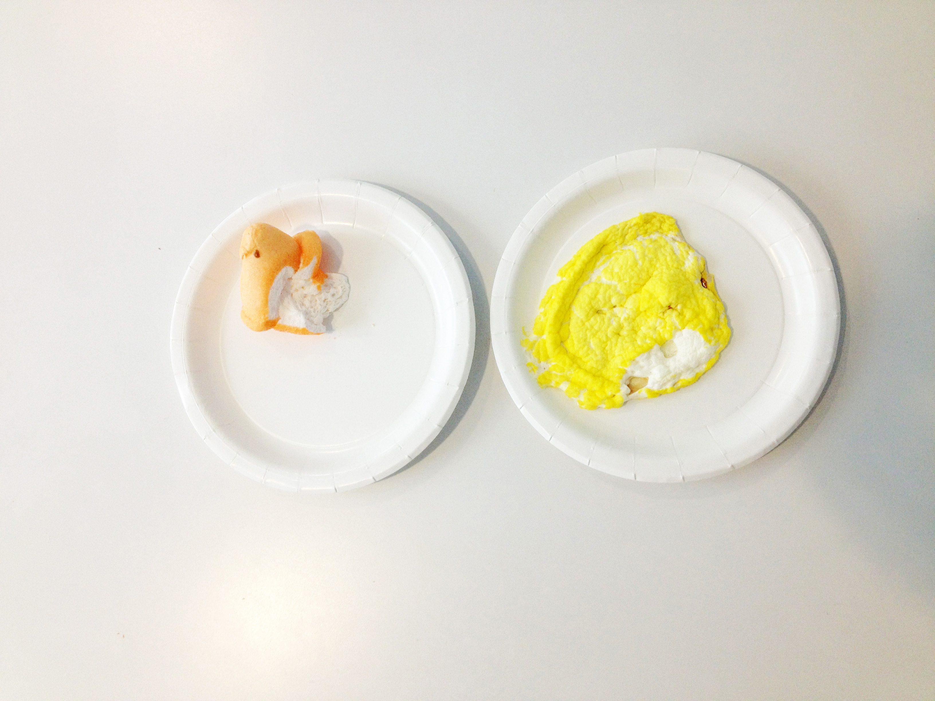 2013-03-28-20130328microwavedpeeps.jpg