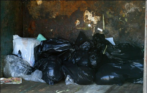 2013-03-29-dumpster.jpg